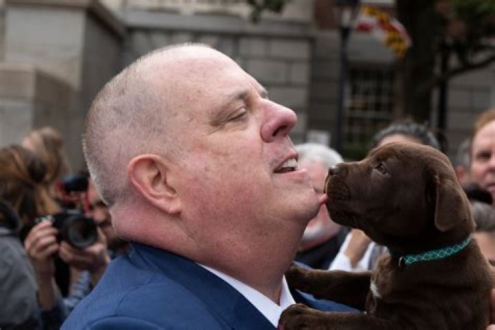 	Broward postpones decision on puppy mill ban	