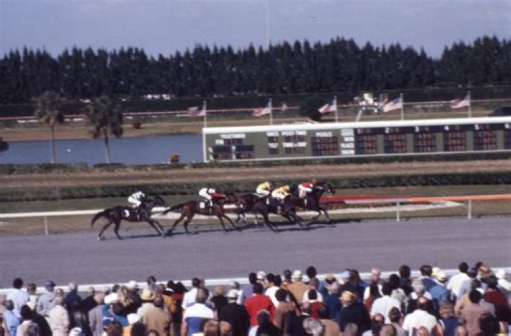 	Calder Race Track, horse breeders battle over slots license	