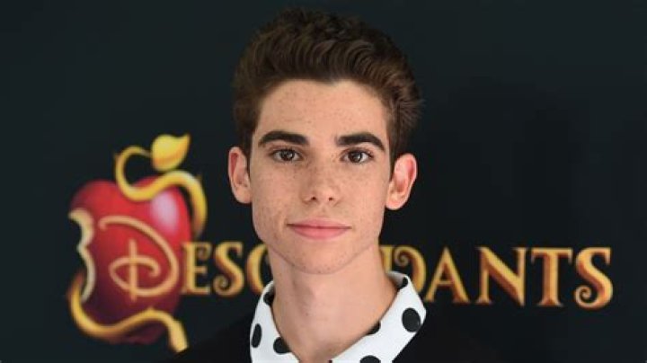Cameron Boyce's Heart: The Story Of His Girlfriend
