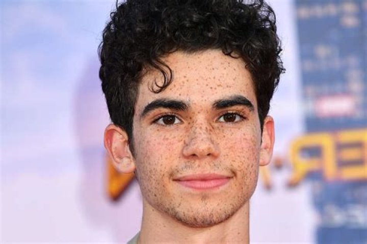 Cameron Boyce's Romantic Journey: Who Did He Date?