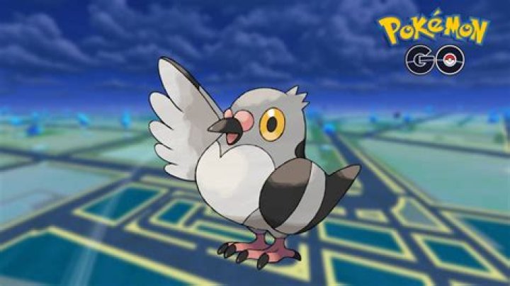 Can Pidove be Shiny in Pokémon Go?