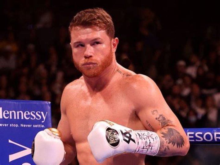 Canelo Alvarez Net Worth 2024