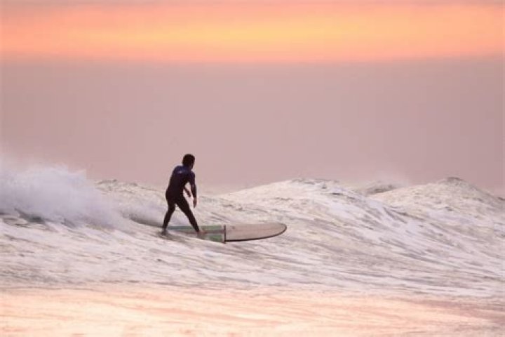 Cansurf: The Ultimate Guide To Surfing And Life On The Waves