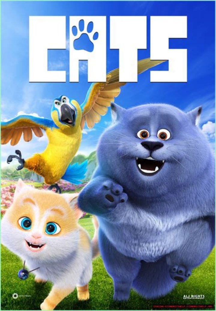 Cat Movie HD: The Ultimate Guide To Feline Cinema