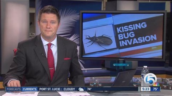 	CDC: ‘Kissing bug’ reported in Florida	