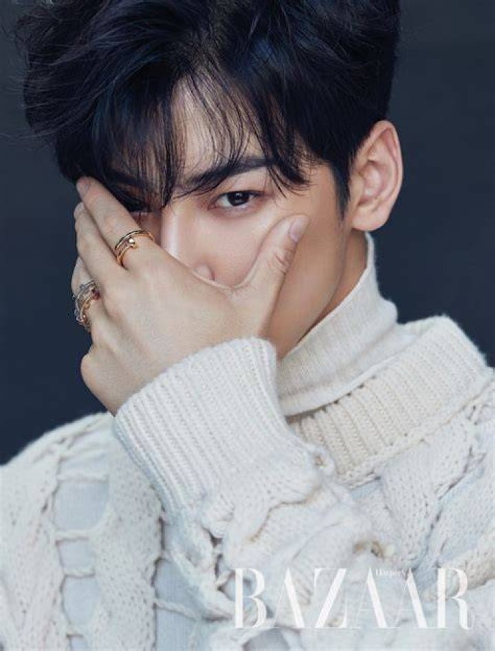 Cha Eun Woo Latest News: The Rising Star Of K-Pop And Acting