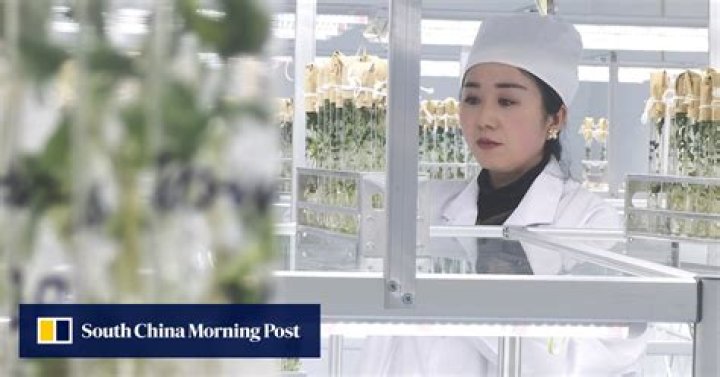 China’s seed industry at least a generation behind as Western giants enter ‘Industry 4.0 Era’, must increase collaboration