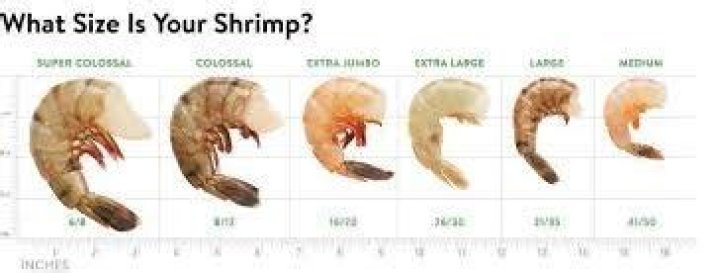 	Claire’s tip: What does 26/30 shrimp mean?	