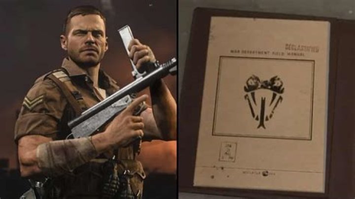 CoD: Vanguard players claim Cold Blooded has 