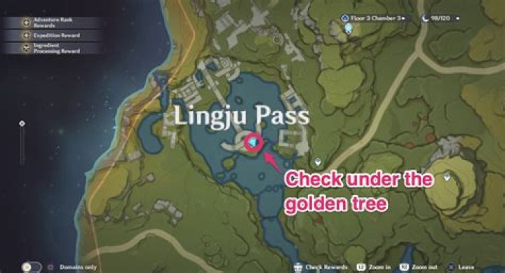 Collect the Treasure Genshin Impact: How to Complete