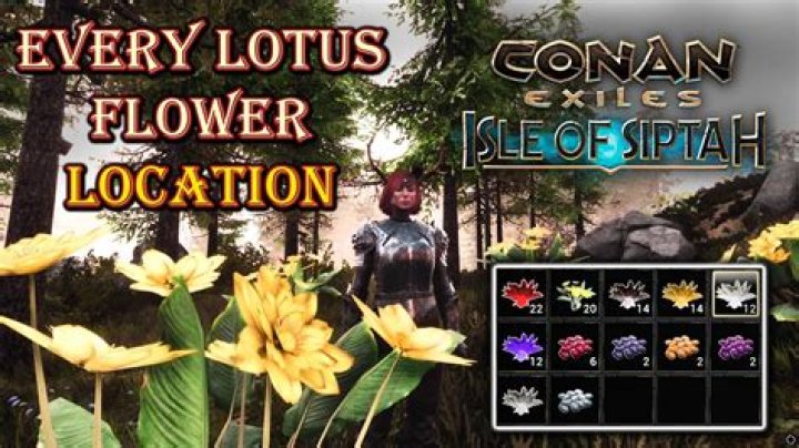 Conan Exiles: How to Get Seeds and What They’re Used For