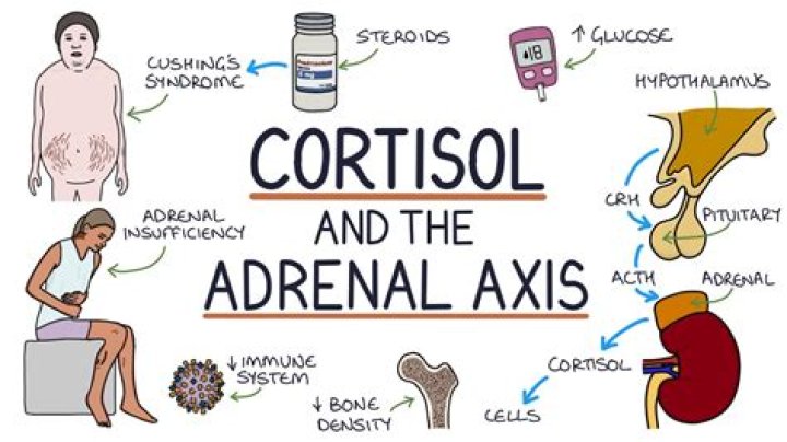 Cortisol as a Predictor of Clinical Depression