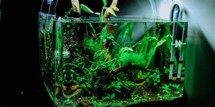 Creating DIY Aquarium Lighting With Arduino