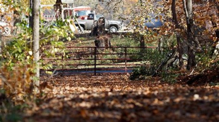 Crime Scene Photos Of Deedee: A Comprehensive Exploration
