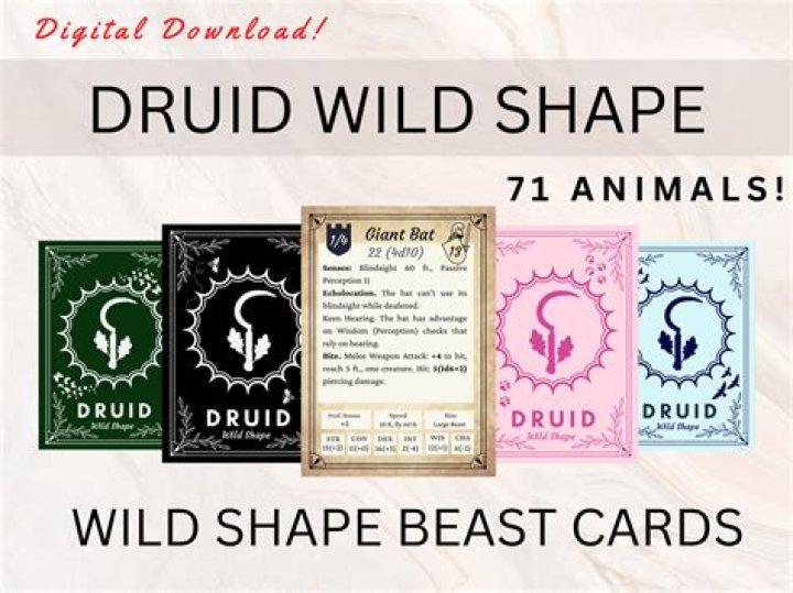 D&D 5E - Druid Wild Shape Beast Size