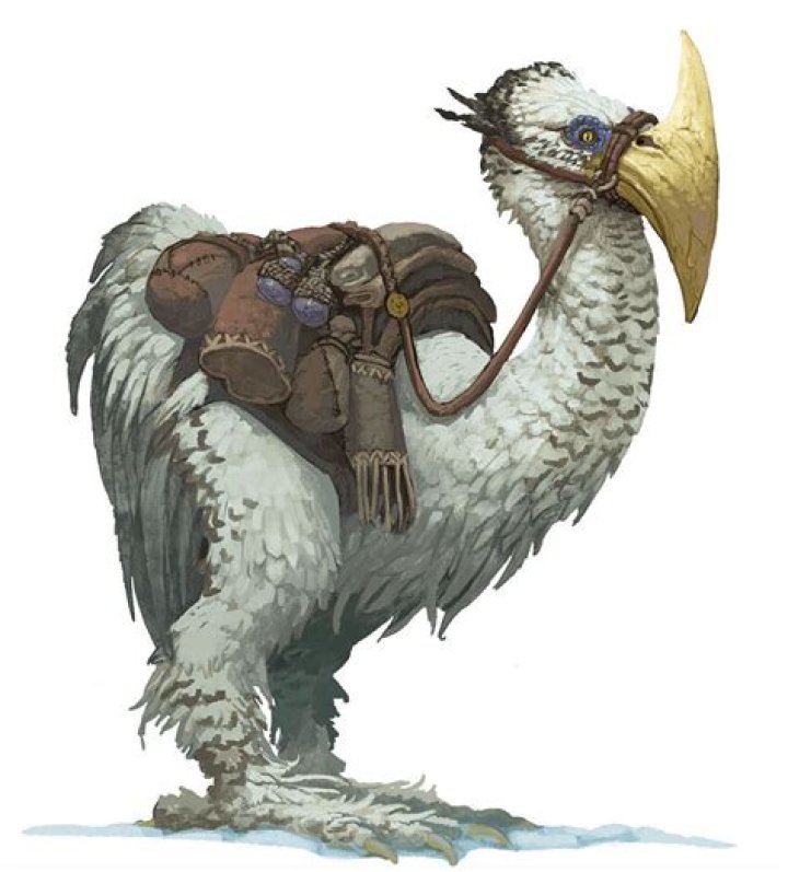 D&D 5E - Training an Axe beak