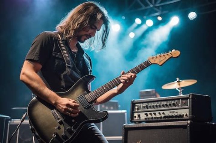 	D. LEVIN, ROCK BAND GUITARIST	
