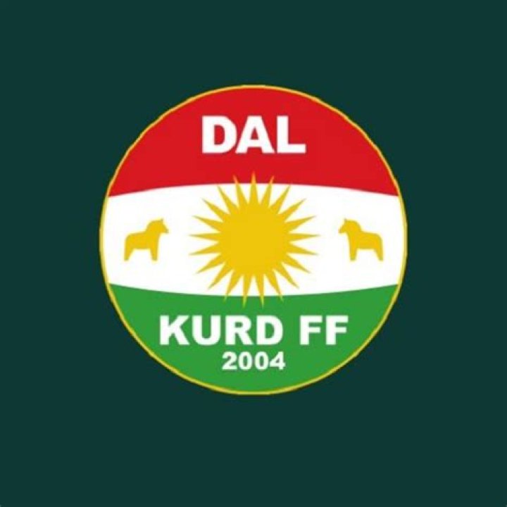 Dalkurd FF rockt Schweden - Flüchtlings-Klub steht in der… – 11FREUNDE