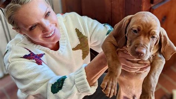 Dana Perino's Dogs: A Deep Dive Into Her Life With Canines