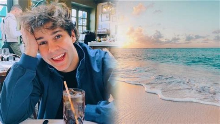 David Dobrik allegedly cancels secret Hawaii trip after Vlog Squad comeback leaks