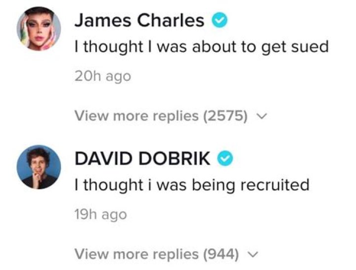 David Dobrik stunned after Kardashians' viral FaceTime TikTok prank