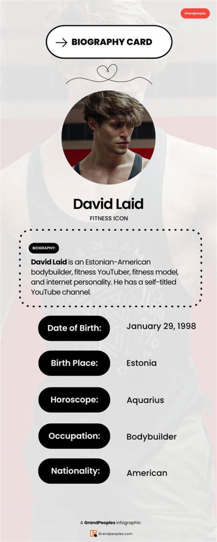 David Laid Biography