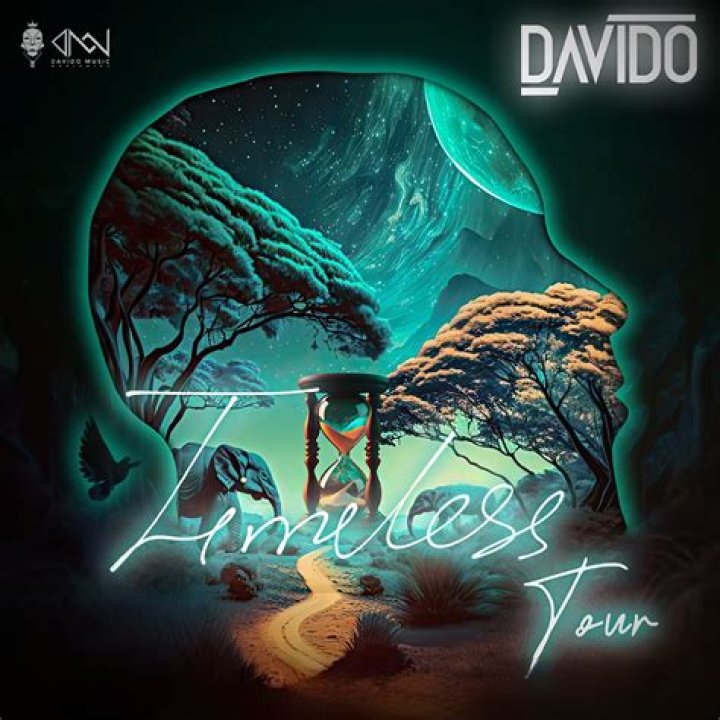 Davido Takes 'Timeless Tour' to New Heights