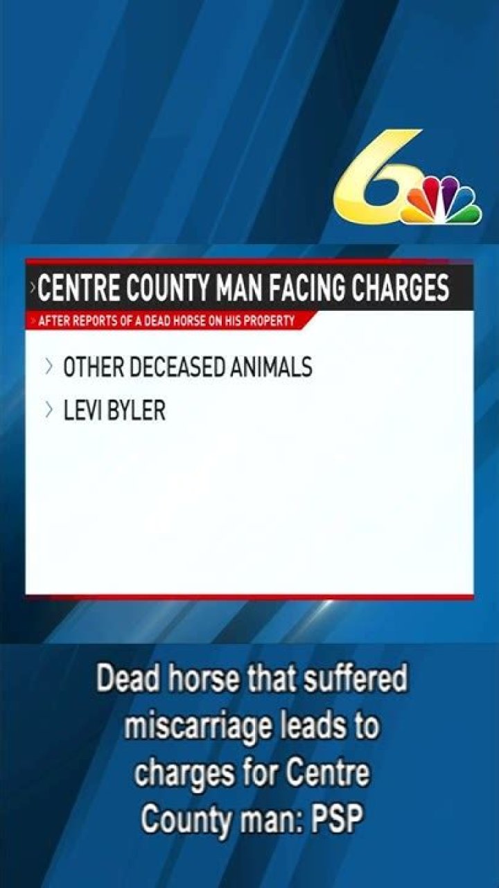 Dead horse that suffered miscarriage leads to charges for Centre County man: PSP
