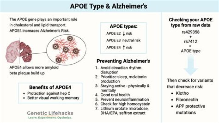 Deciding whether to get tested for an Alzheimer's gene