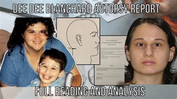 Deep Dive Into The Dee Dee Blanchard Crime: A Chilling Tale Of Deception