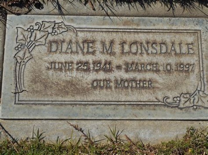 Diane Lonsdale: A Journey Through Art And Life