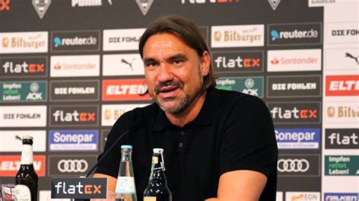 Die Anti-Kater-Fohlen – 11FREUNDE