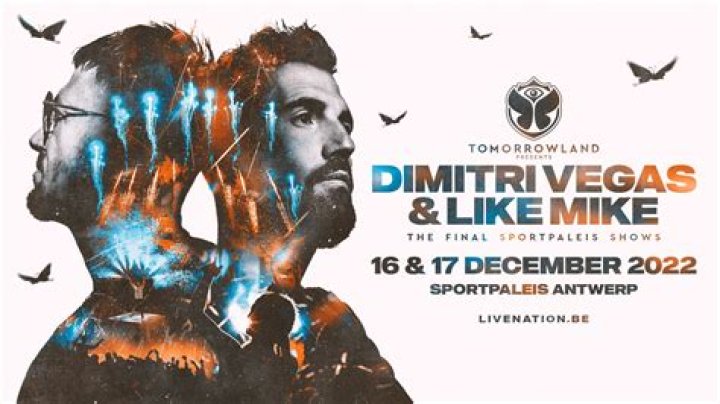 Dimitri Vegas & Like Mike Vermögen