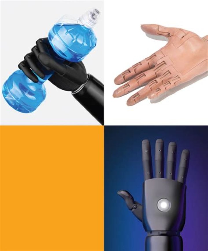 Discover The Innovations Of Prosthetic Visionary Biljana Tintor