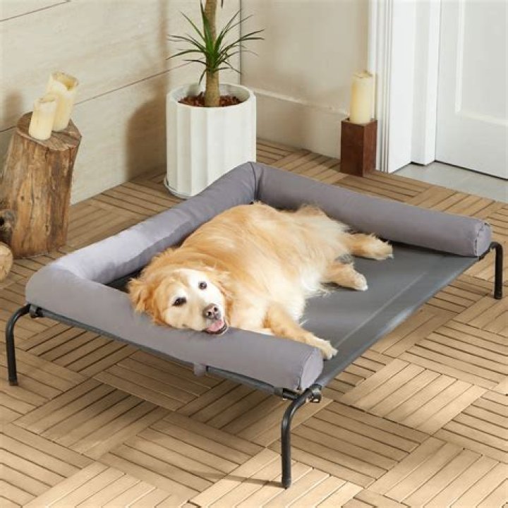Discover The Ultimate Comfort: The Cool Dog Bed