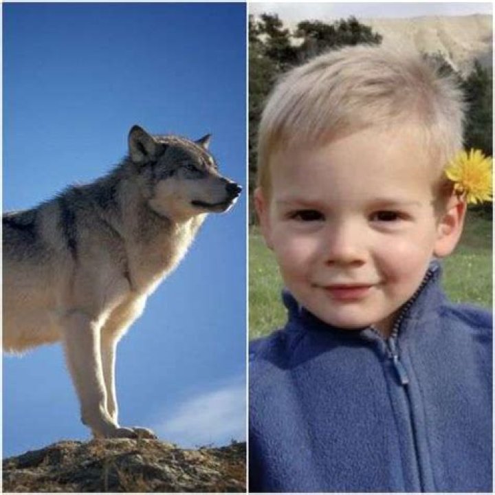 Disparition Emile 2 Ans Retrouvé Mort : Le Corps du Petit Garçon Découvert 2 Ans après sous uneDalle en Béton