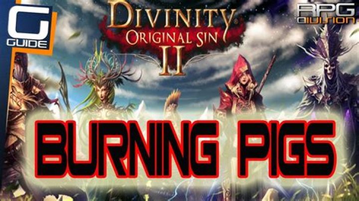 Divinity Original Sin 2: How to Complete the Burning Pigs Quest
