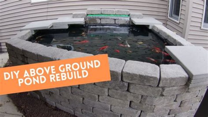 	DIY: Create your own Koi pond	