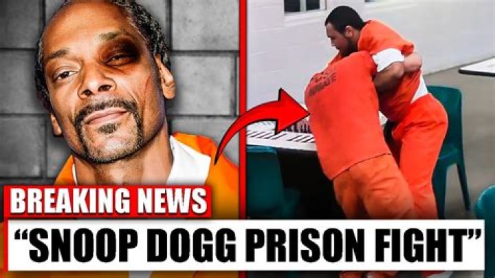 Does Snoop Dog Have A Criminal Record? Exploring The Rapper's Legal Troubles