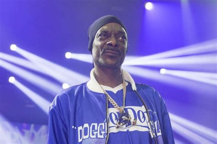 Does Snoop Dogg Have A Criminal Record? Exploring The Rapper's Legal Troubles