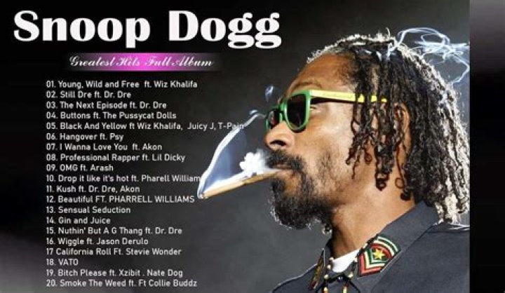 Does Snoop Dogg Have A Felony? Exploring The Legal History Of The Iconic Rapper