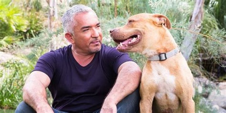 Dog Daddy Net Worth 2024