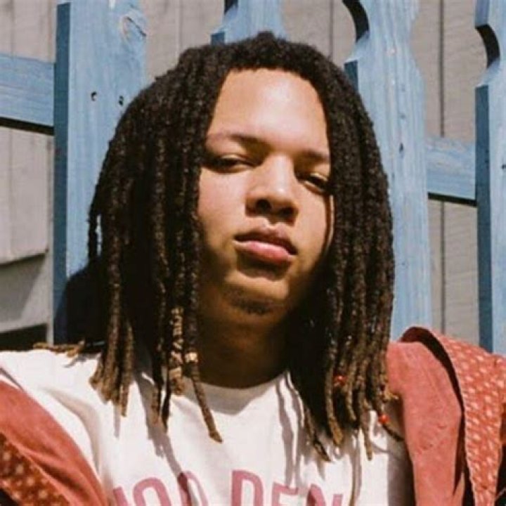 Domani Harris Net Worth 2024