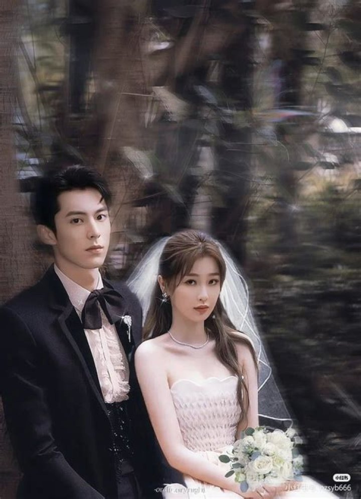 Dylan Wang's Romantic Journey: Who Is His Girlfriend?