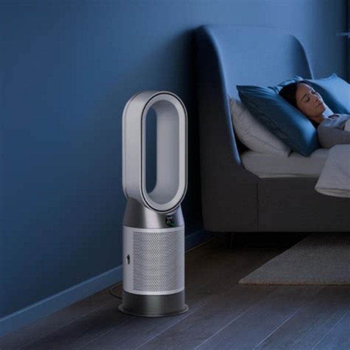 Dyson recalls 116,283 purifier fans in China - Xinhua
