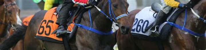 EAGLE RUN (G415) 鷹勇猴王 | Horses | HK Racing
