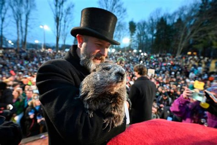Early Spring! Punxsutawney Phil does NOT see his shadow