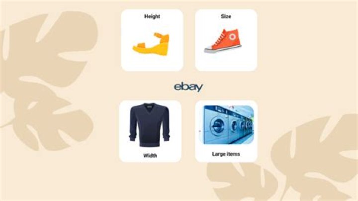 ebay.fr login safely, analysis & comments