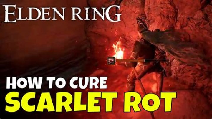 Elden Ring: How to Cure Scarlet Rot