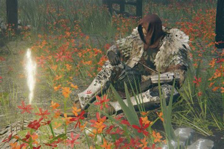Elden Ring walkthrough: 8 important items and NPCs in Limgrave
